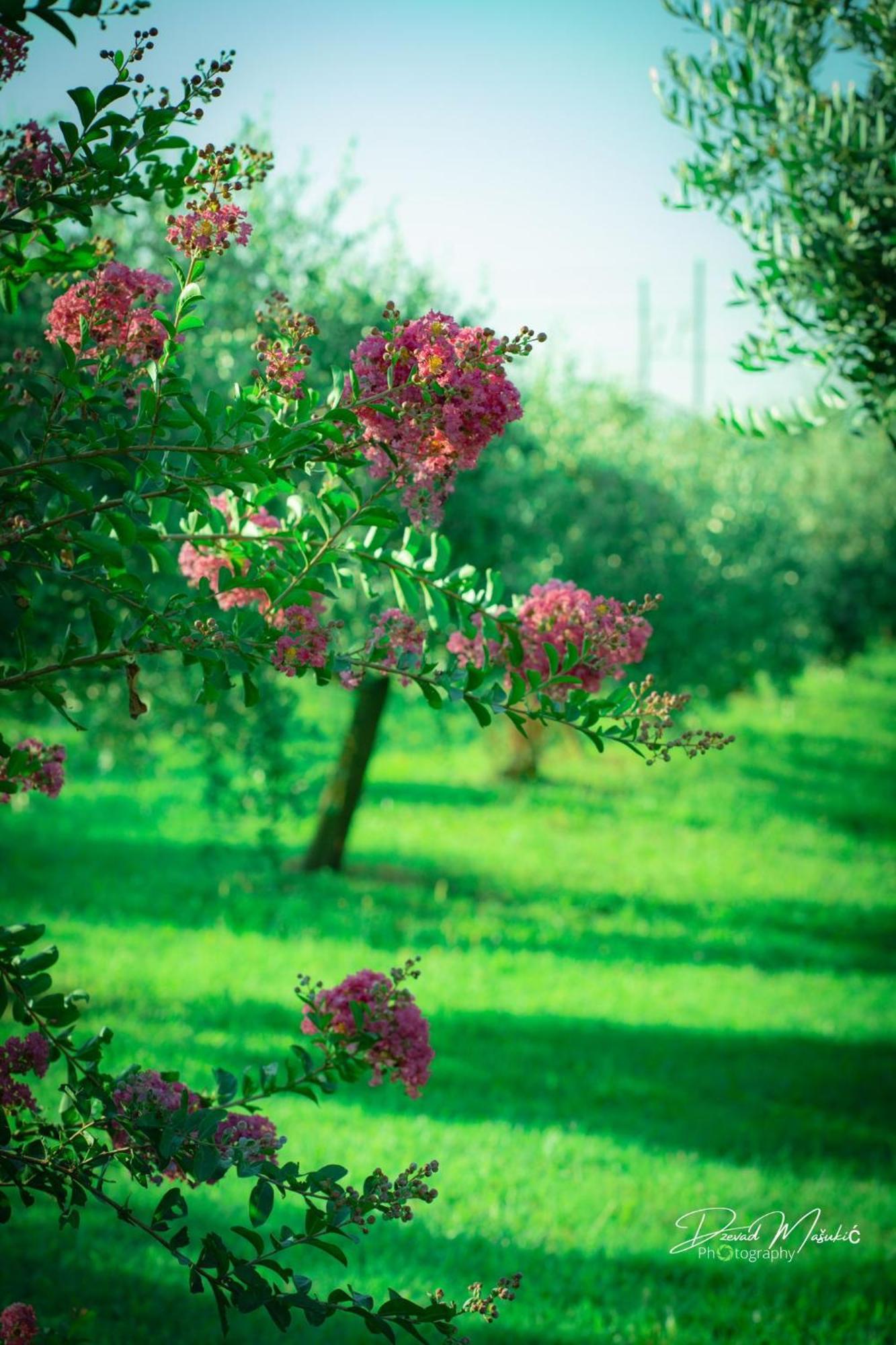 Agriturismo Olistella Palazzolo dello Stella Exteriér fotografie